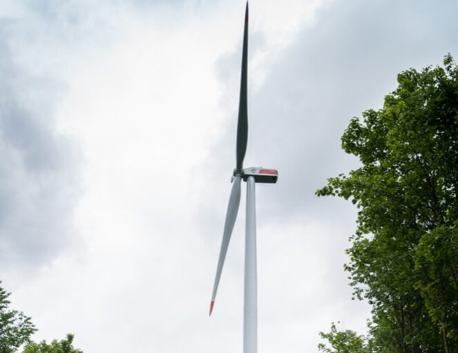 Windprojekt Großer Wald